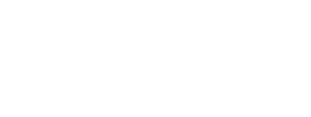 Brandon Court Nursing [logo]